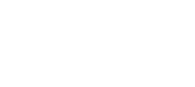 Ballet Academy Vladimir Ippolitov Logo White
