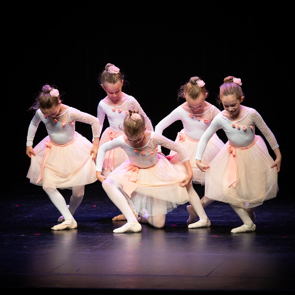Ballet Academy Vladimir Ippolitov - Kids Programm