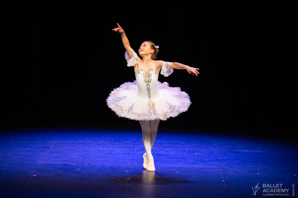 Ballet Academy Vladimir Ippolitov. Academy Gala 2026