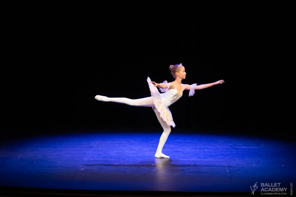 Ballet Academy Vladimir Ippolitov. Academy Gala 2026
